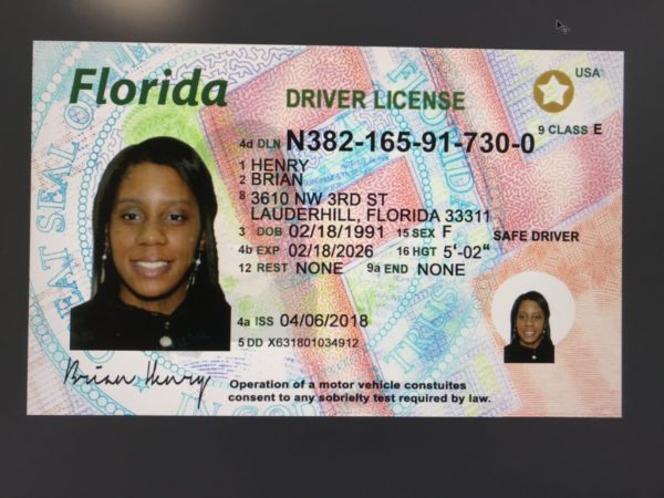 NEW Florida Blank Windows Card With UV