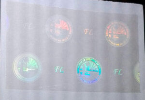 Florida ID Hologram Overlay For Sale