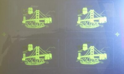 New California ID Hologram Overlay Sticker