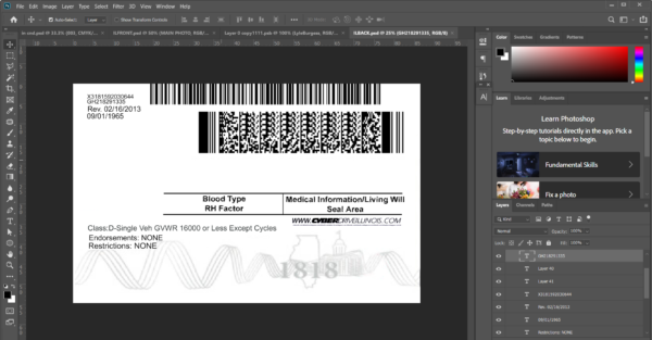 Illinois DL Editable PSD Template