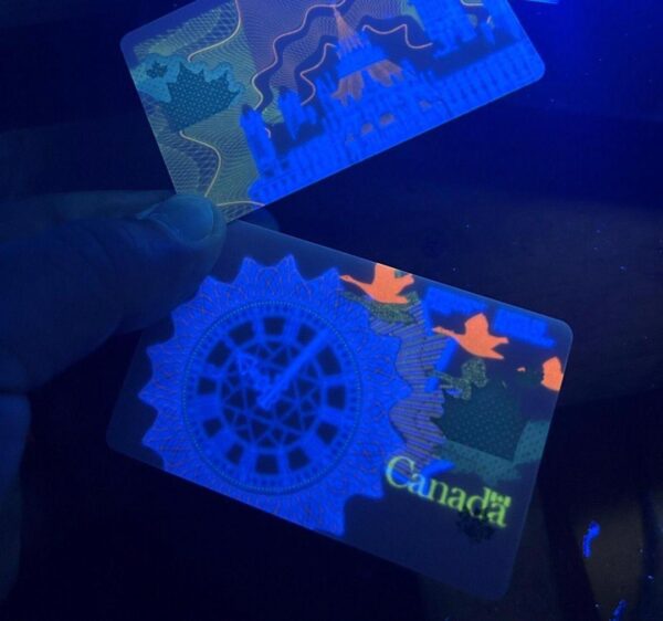 Buy New Canada PR Card