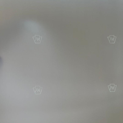 Pennsylvania DL Teslin Paper Sheet