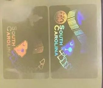 South Carolina DL Overlay Hologram Sticker