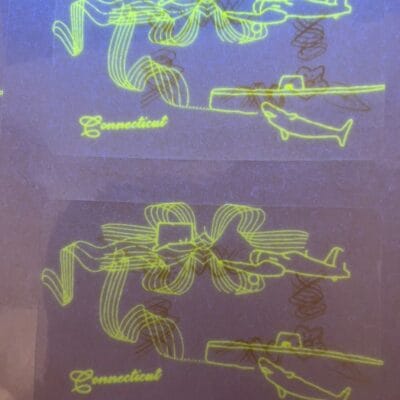 Connecticut DL Overlay Hologram