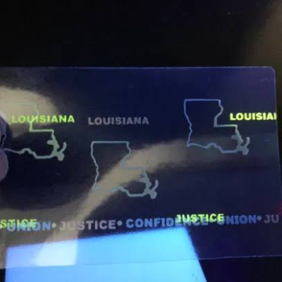 Louisiana DL Overlay Hologram
