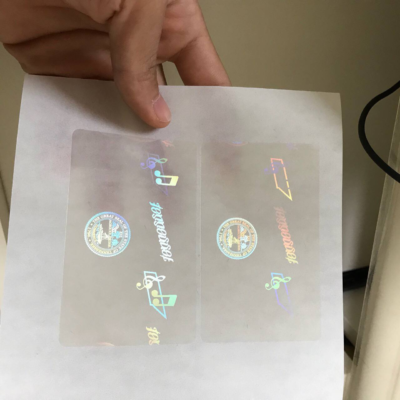 Tennessee DL Overlay Hologram Sticker