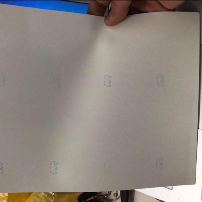 California DL Teslin Paper Sheet ( Bear )