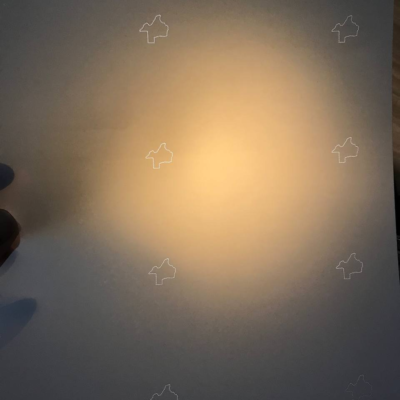 Texas DL Teslin Paper Sheet