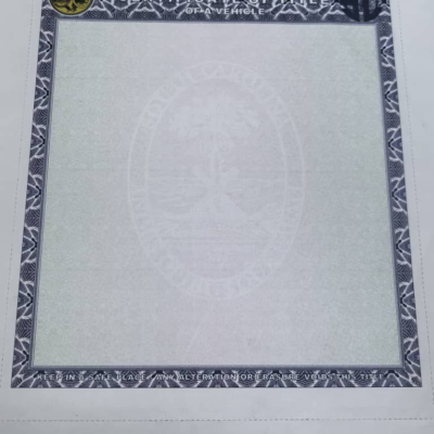 South Caroline Car Title Certificate